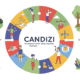 Candizi: Incorporate Your Daily Routine for Optimal Wellness