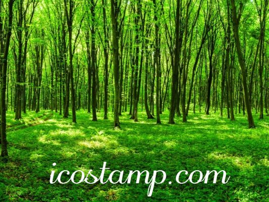 icostamp.com: Empowering Entrepreneurs & Investors with Data‑Driven Insights