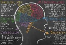 Brainzy See Work Done