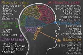 Brainzy See Work Done