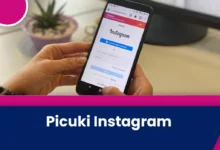 picuki ig