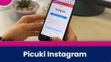 picuki ig