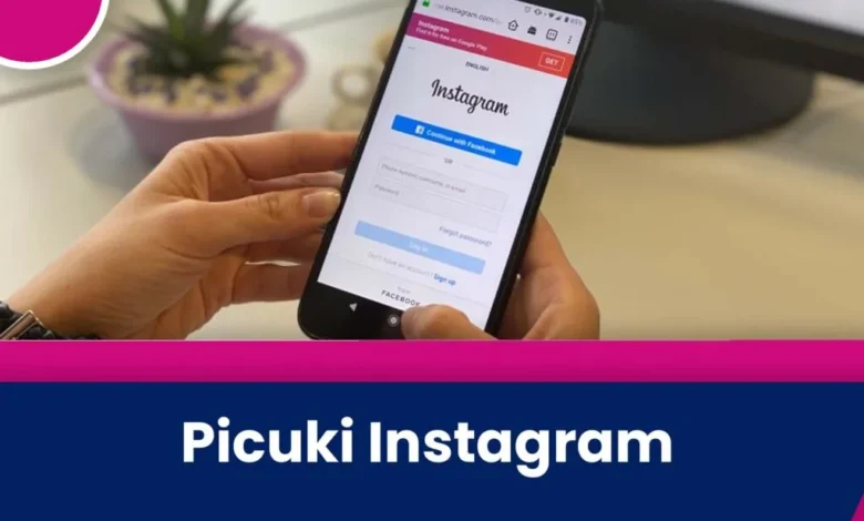 picuki ig